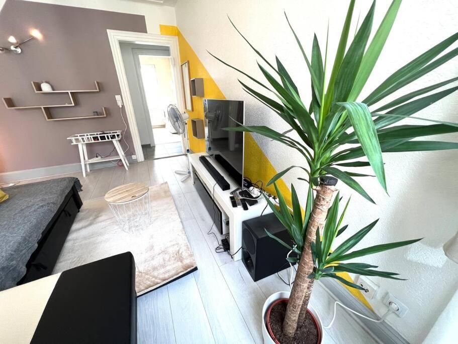 Lumiere Secrete Centre Parking Tram Apartment